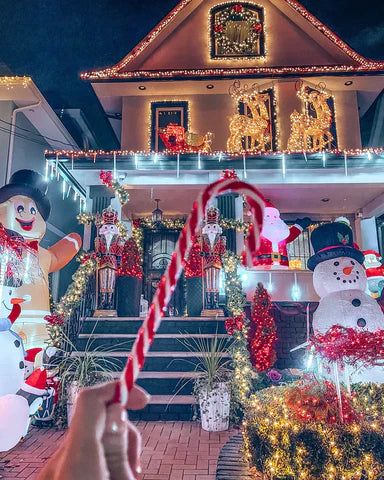A Christmas Hidden Gem In New York City: Dyker Heights