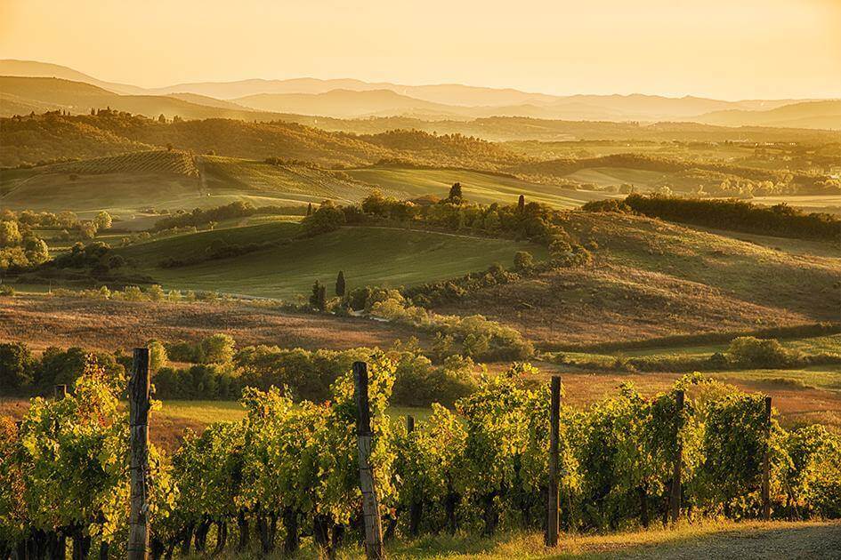 5 Unforgettable Experiences in Chianti, during the harvest season not to be missed!